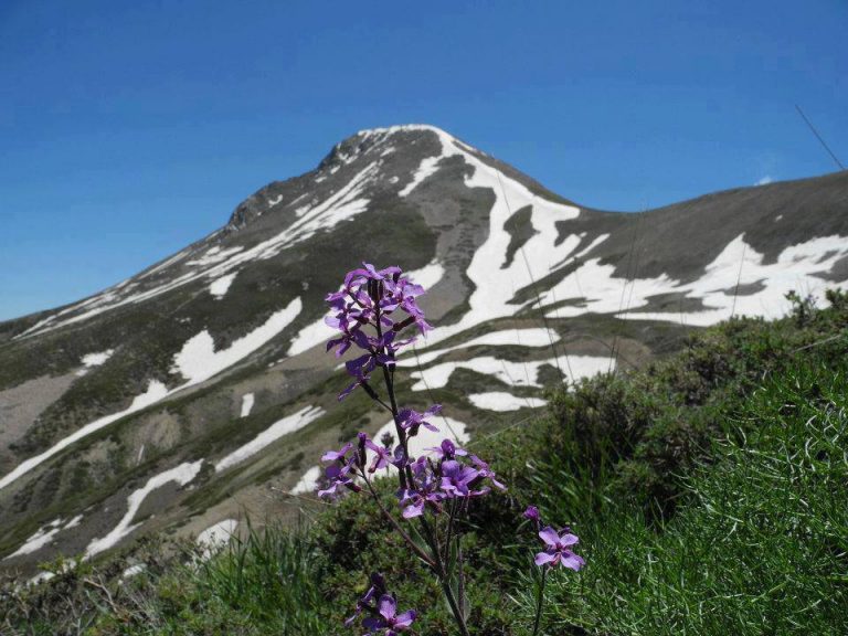 EFSANE SÜLBÜS DAĞI ve TARİ DAĞI