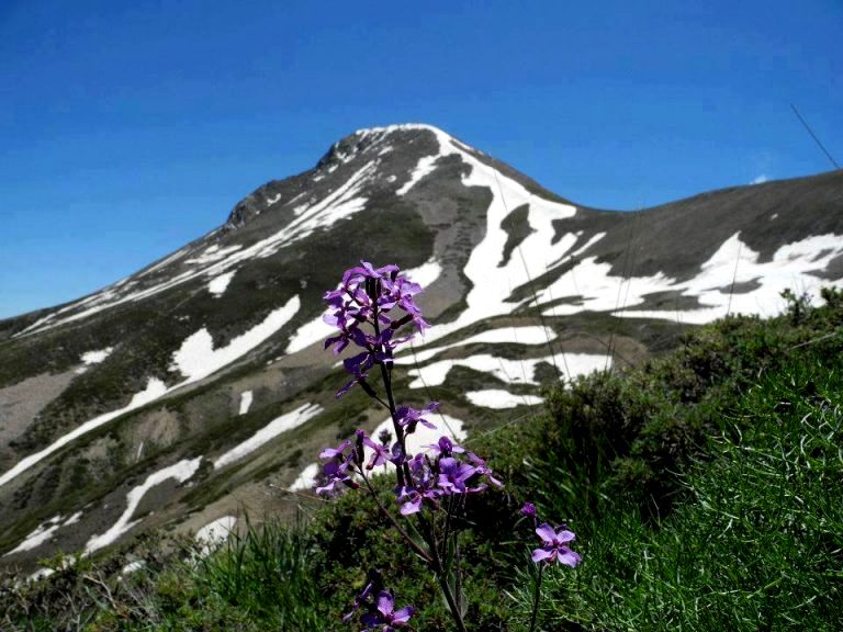 EFSANE SÜLBÜS DAĞI ve TARİ DAĞI