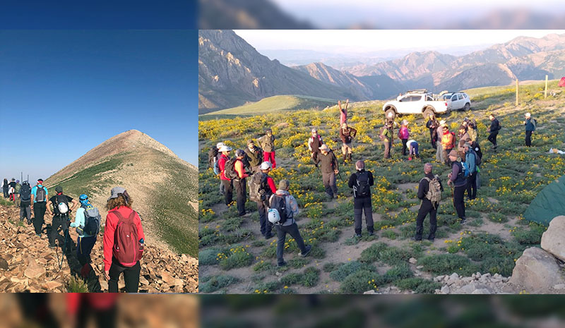 EFSANE SÜLBÜS DAĞI ve TARİ DAĞI